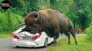 За секунду до.. Моменты попавшие на камеру.