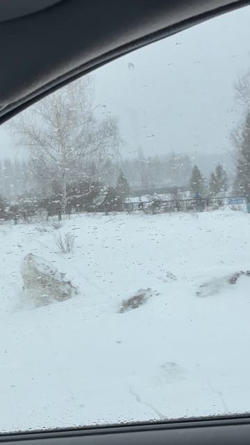 Приехал на Малую Родину…