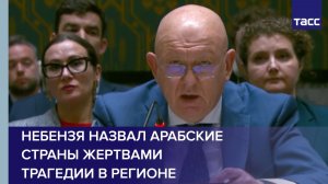 Небензя назвал арабские страны жертвами трагедии в регионе