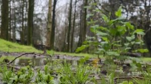 Прогулка в Сочи