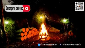 Выживание среди диких животных. С ночевкой в лесу под открытым небом