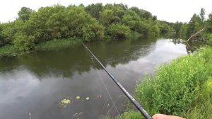 ОКУНЬ ТОЛЩЕ ЩУКИ😲 Рыбалка со спиннингом