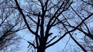 Eterah - Троицкое