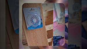 1000055447.mp4 (Собака наблюдает за устройством лестницы на 2-ой этаж в доме А-фрейм)