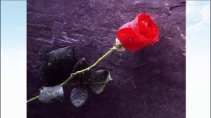 В.П. Астафьев. Глава из повести Царь-рыба  Капля