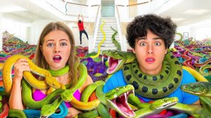 Я заполнил весь свой дом змеями.. Сток Твинс.