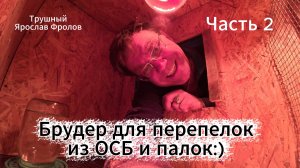 Перепелиный брудер в сериале про Трушных перепелов ЧАСТЬ 2