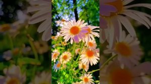 XakeR - Иисус мой я узнал тебя »