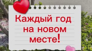 Снег в цветущем Краснодаре 07.04.26🌺❄️🌺 Нижний Новгород - Сочи - Казань👫👩❤️👨 История из жизни💯