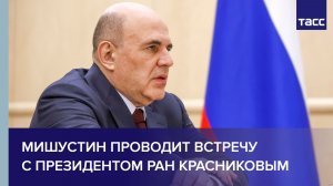 Мишустин проводит встречу с президентом РАН Красниковым