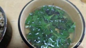 08-04-2026 Цыплят 🐥 много не бывает. Ждём цыпляток из под курочки 🐔🐣.