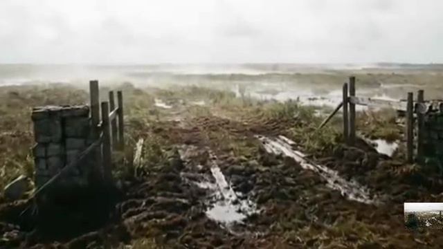 .... Васюганские Болота - Что мы знаем о них....