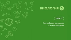 Разнообразие организмов и их классификация