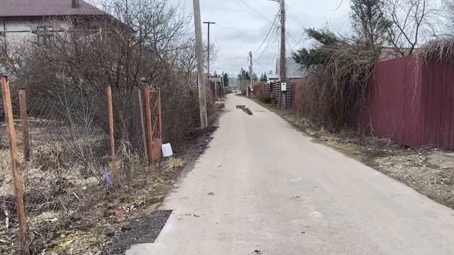 ПОСЛАНИЕ РОЗЕ🌹🌹🌹ВЫПОЛНЯЮ ОБЕЩАНИЕ/ПОЧКИ и ВОДА -СОВМЕСТИМЫ или❓ОТВЕЧАЮ на ВОПРОС /Прогулка ⛔❗🐕/