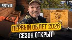 Сбежал с офиса на пасеку! Что из этого вышло? Строю пасеку с нуля | Серия 12