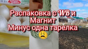 08-04-2026Распаковка с WB  и Магнит .Минус одна тарелка 😩