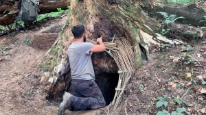 Соло бушкрафт, строю убежище в корнях дерева