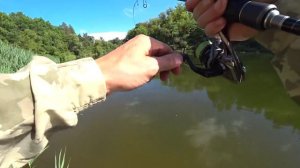 ЗДЕСЬ НЕТ ЛЮДЕЙ И РЫБА ЗАГИБАЕТ СПИННИНГ!!!