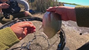 ВОТ ЭТО РЫБАЛКА!!! ФИДЕР на ТЁПЛОМ ЛЕЩ в САДКЕ )