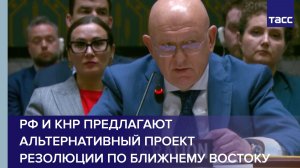 Небензя: РФ и КНР предлагают альтернативный проект резолюции по Ближнему Востоку