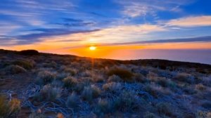 Дом на Сионе. Сборник 41.mp4