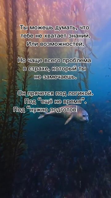 Ты можешь думать что тебе не хватает знаний... #7гроз #веды #нумерология #астрология #магиячисел