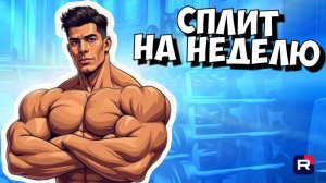Сплит на неделю | Грудь плечи | Спина | Руки | Ноги | Тренировка на неделю