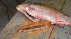 Рыба, как знания от подсознания. 05.04.26.