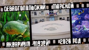 Севастопольский морской аквариум-музей, Республика Крым.