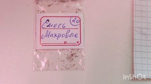 Показываю как сеять семена глоксиний 🤗❤будем следить вместе за ростом ☺
#глоксиния #цветыдлядома