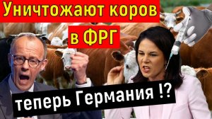 Уже 1100 коров убили в Германии ! Кто следующий ???