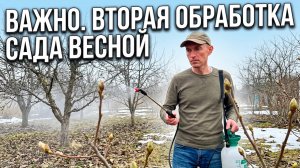 Вторая обработка сада весной