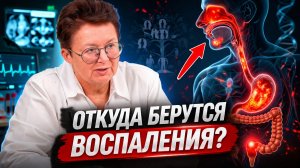 Изучи свое древо чтобы не допустить воспаления на слизистых от носа до ануса!