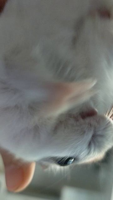 Стёпа Стёпа привет Стёпа привет привет Стёпа привет Стёпа Стёпа Стёпа Стёпа Стёпа Стёпа привет приве