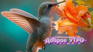 Доброе Утро! Хорошего дня! Музыкальная открытка с Добрым Утром! Музыкальные открытки