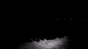 Ночьная покатушка