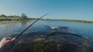 Вот так надо ловить щуку на пруду в траве! Ловля щуки в траве на джиг.