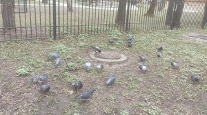 8 день апреля - творите добро  и прогноз от волшебника