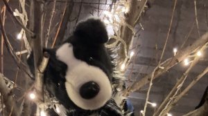 разговор про моего вора 🗑