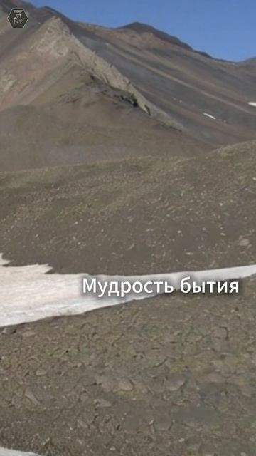 Мудрость бытия