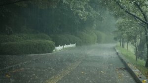 Самые эффективные звуки дождя от бессонницы. Сильный дождь, вызывающий сон, белый шум