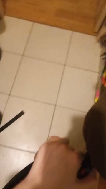 сходка новости