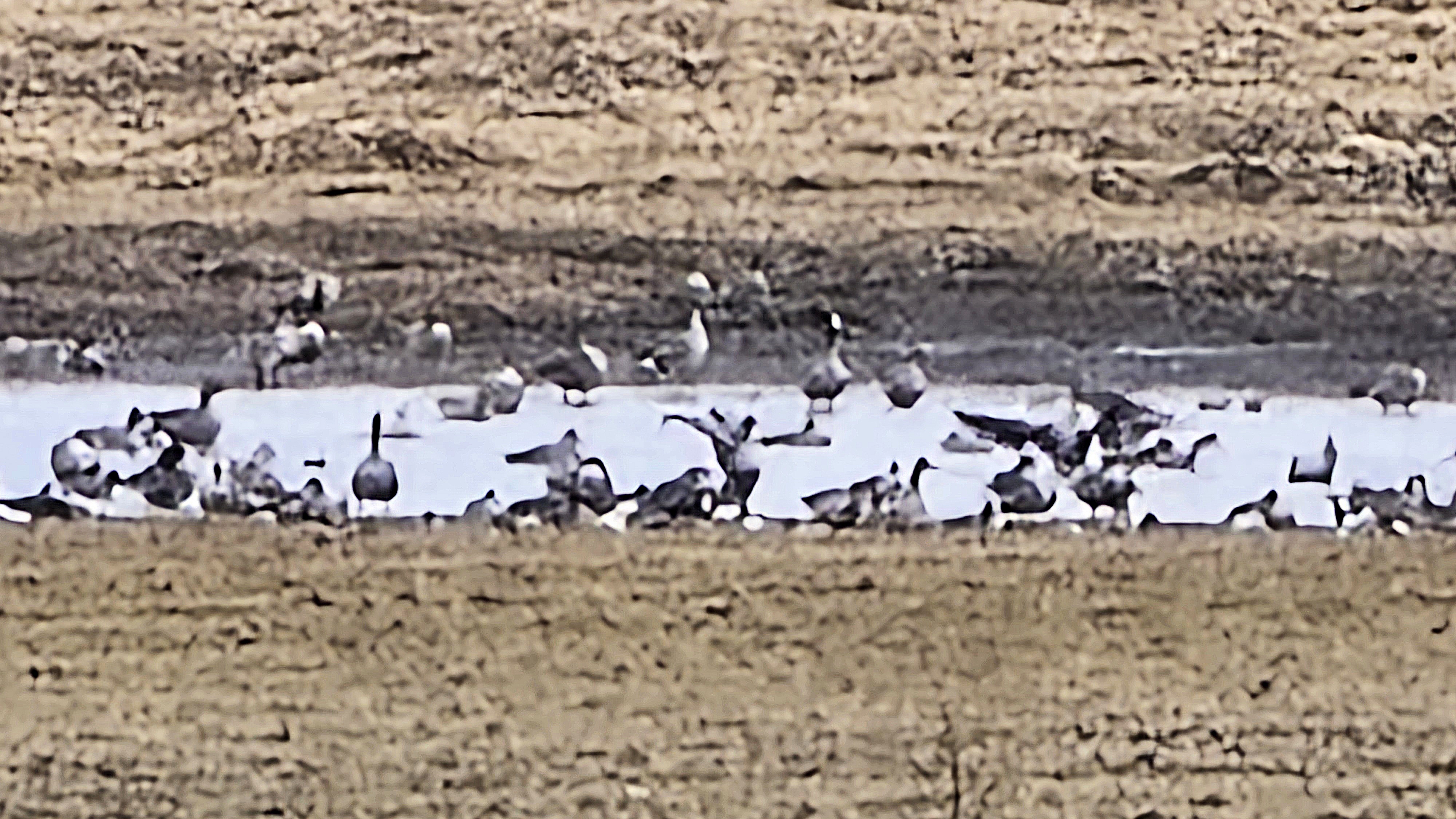 До охоты два дня