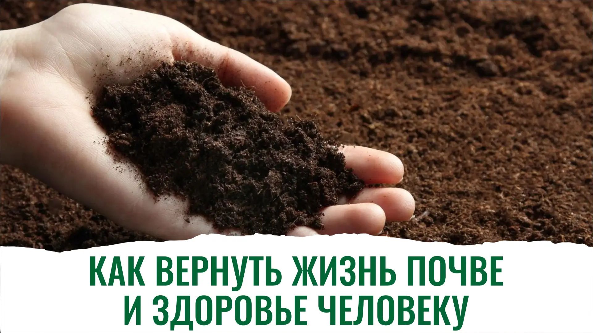 Лидер в сфере биотехнологий в Кампусе Уфы. Над чем здесь работают студенты и ученые?