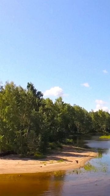 copy_54D36CFA-12A4-4FE9-95A0-3DAB0DF5808E