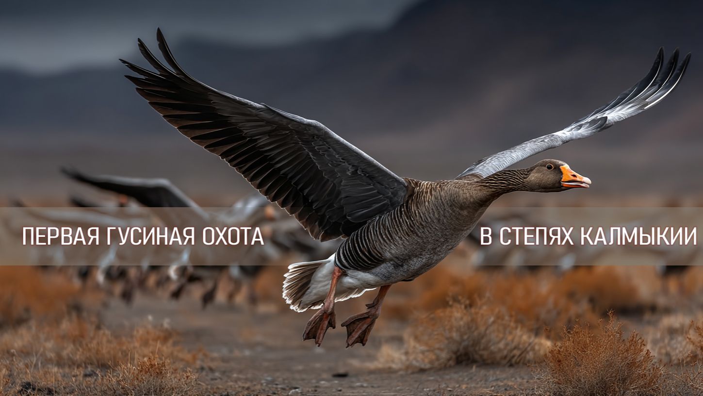 Моя первая охота на гуся: неделя в степи Калмыкии. Весна 2026