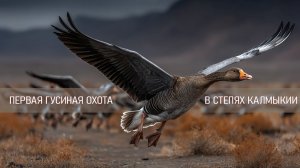 Моя первая охота на гуся: неделя в степи Калмыкии. Весна 2026