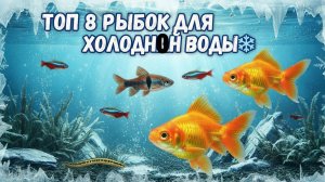 ТОП 7 РЫБОК КОТОРЫЕ ЛЮБЯТ ХОЛОДНУЮ ВОДУ