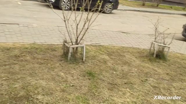 идëм в подвал часть 2