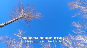 Слушаем пение птиц
